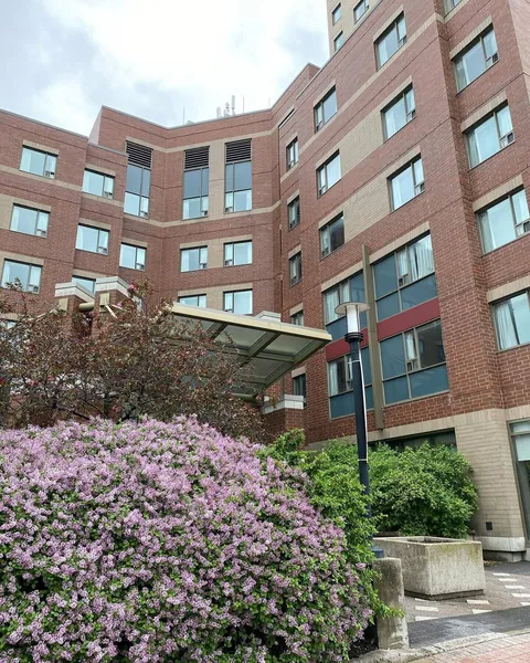 University of Ottawa Residence hotel detail image 2