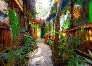 Hotel Carlitos Tulum hotel thumbnail 5