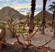 The Islands of Loreto Resort and Spa hotel detail image 4