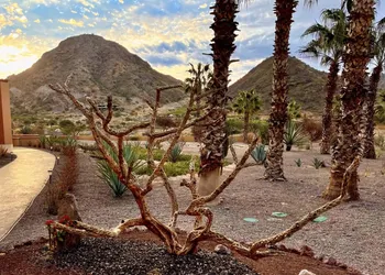 The Islands of Loreto Resort and Spa hotel thumbnail 4