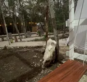 Glamping Mayan Glam hotel detail image 3