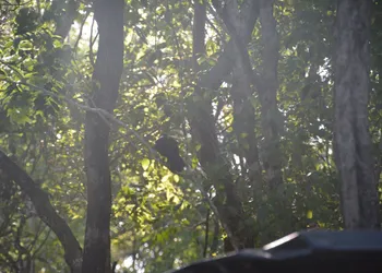 Glamping Mayan Glam hotel thumbnail 7