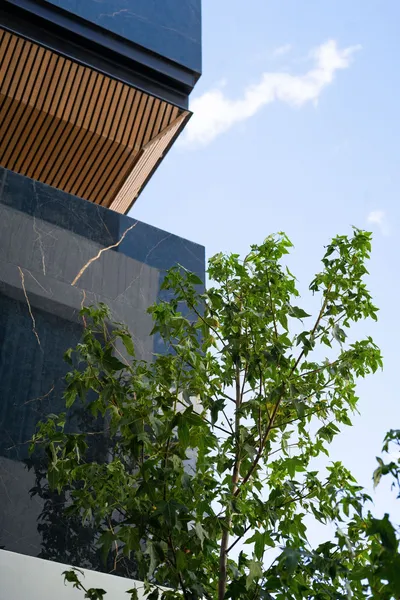 Casa Cuarzo Hotel Boutique hotel detail image 2