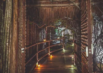 Hidden Treehouse Tulum EcoHotel hotel thumbnail 4