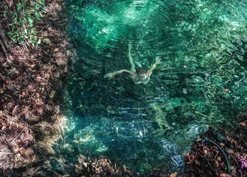 Hidden Treehouse Tulum EcoHotel hotel thumbnail 8