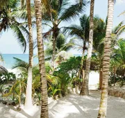 Olas Tulum hotel detail image 4