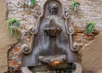 Casa Yuca Hotel Boutique hotel thumbnail 6