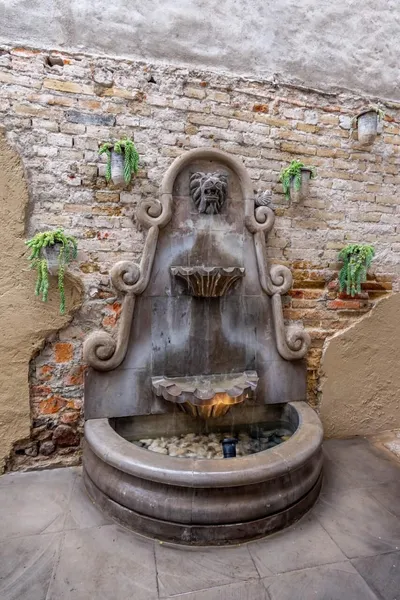 Casa Yuca Hotel Boutique hotel detail image 6