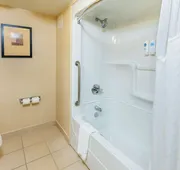 Comfort Inn & Suites hotel detail image 4
