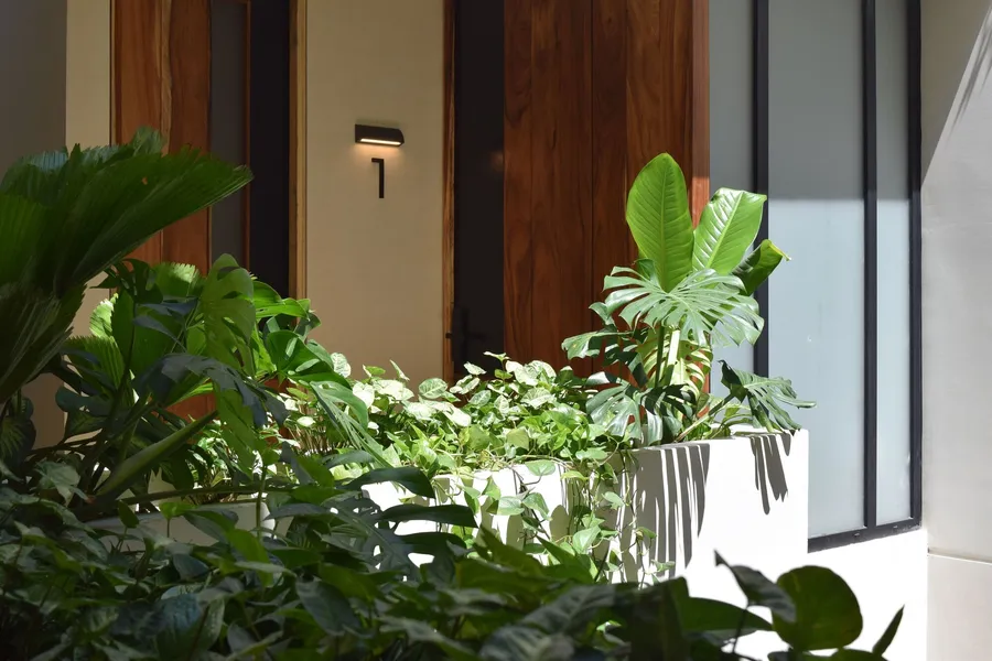 Nomada Boutique Habitat hotel detail image 2