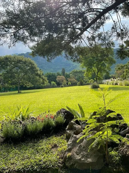 Paraje Real Malinalco hotel detail image 2