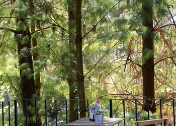Sublime Valley Resort hotel thumbnail 6