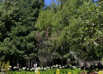 Sublime Valley Resort hotel thumbnail 7