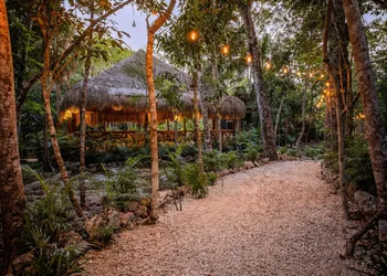 Nuuku hotel thumbnail 4