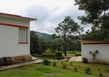 Bungalows Villa Limon hotel thumbnail 2