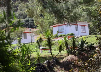 Bungalows Villa Limon hotel thumbnail 4