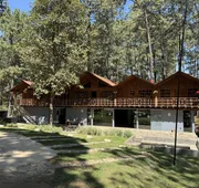 PINE TREE Hotel Boutique & Cabañas hotel detail image 3