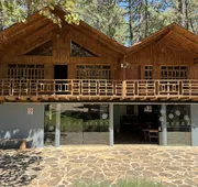 PINE TREE Hotel Boutique & Cabañas hotel detail image 4