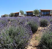 Montevalle Resort and Spa hotel detail image 4