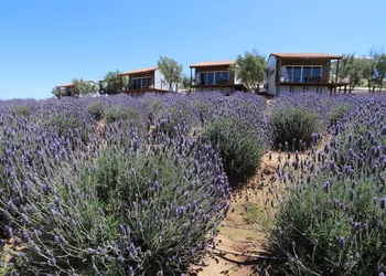 Montevalle Resort and Spa hotel thumbnail 4