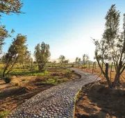Montevalle Resort and Spa hotel detail image 7