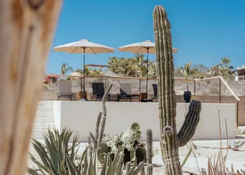 Baja Temple hotel thumbnail 5