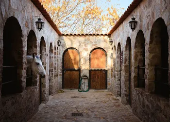 Hacienda Maria Eugenio hotel thumbnail 5