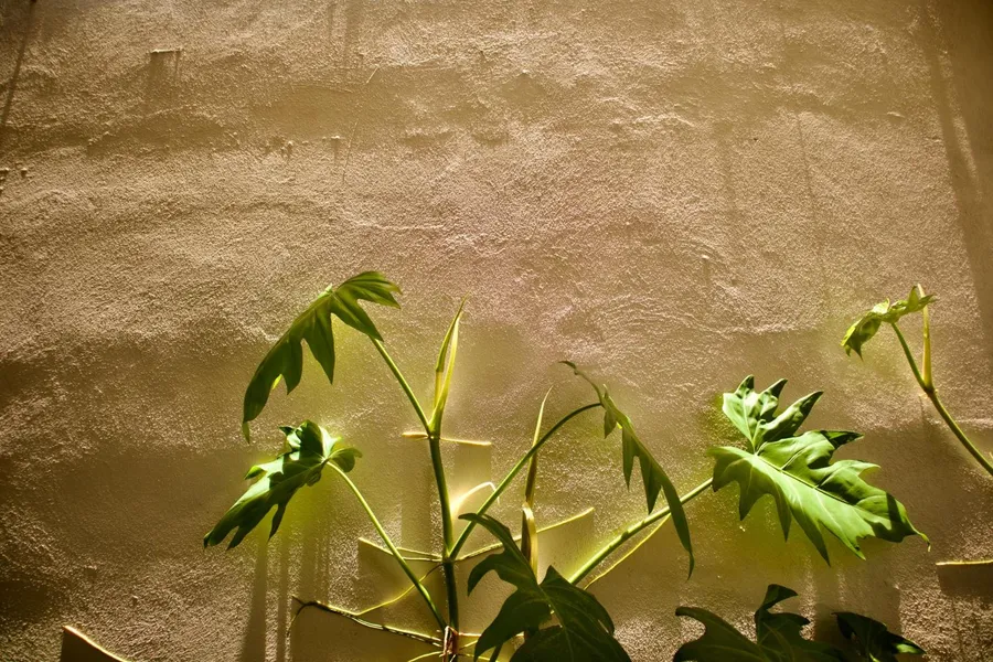 Hotel Koox Jool Bacalar hotel detail image 2