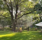 Magnolias Jardin & Boutique Suites hotel detail image 4