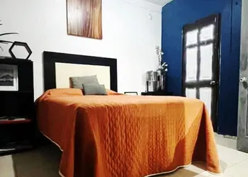 Suites Bugambilias Rooms Primavera Bosque hotel thumbnail 6