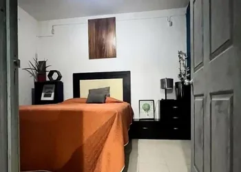 Suites Bugambilias Rooms Primavera Bosque hotel thumbnail 8
