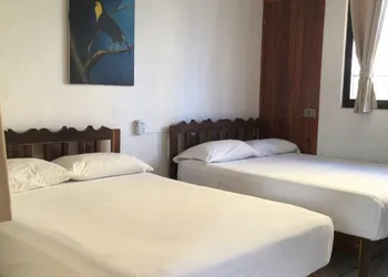 Hotel Villa Tulipanes hotel thumbnail 5