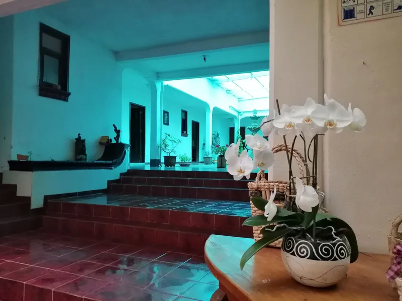 Hotel Jardín hotel detail image 6