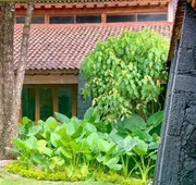 Quinta Tonantzin Hotel Boutique hotel detail image 4