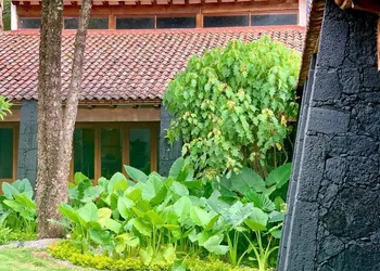 Quinta Tonantzin Hotel Boutique hotel thumbnail 4