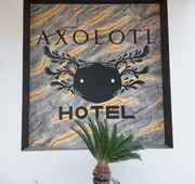 Hotel Axolotl hotel detail image 5