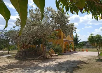 Eco hotel Shalom hotel thumbnail 5