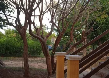 Eco hotel Shalom hotel thumbnail 8