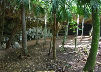 Xuux Peek Hotel Ecoturístico hotel thumbnail 7