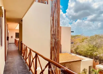 Hotel Manglar Suites hotel thumbnail 5