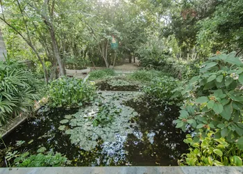 Shambalanté hotel thumbnail 6