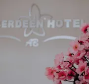 Aberdeen Hotel Dolores Hidalgo hotel detail image 4