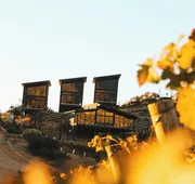 Origen75 hotel detail image 4