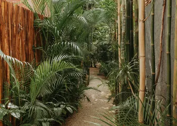 Casa Chaká Boutique hotel thumbnail 7