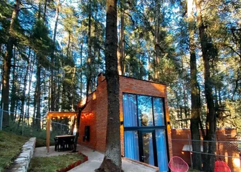 TinyChillHouse hotel thumbnail 5