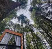 TinyChillHouse hotel detail image 7