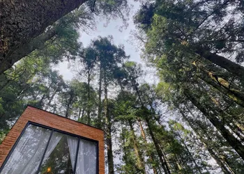 TinyChillHouse hotel thumbnail 7