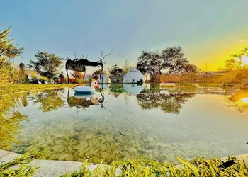Glamping Xochitepec hotel thumbnail 8