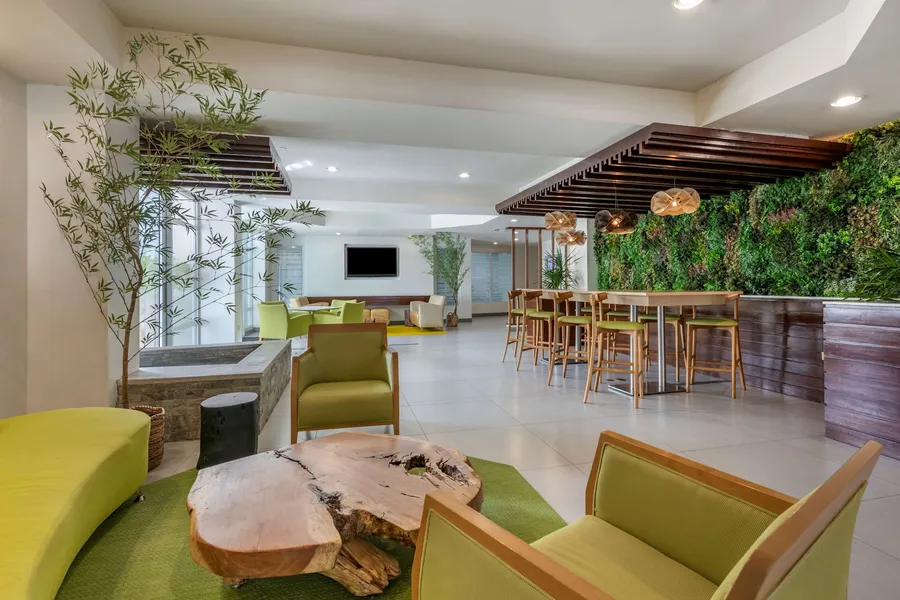 Condado Palm Inn San Juan, Tapestry Collection by Hilton hotel detail image 6