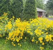 Hudson Valley 9w Motel hotel detail image 3
